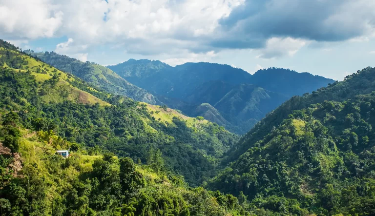 コーヒー産地を訪ねて
