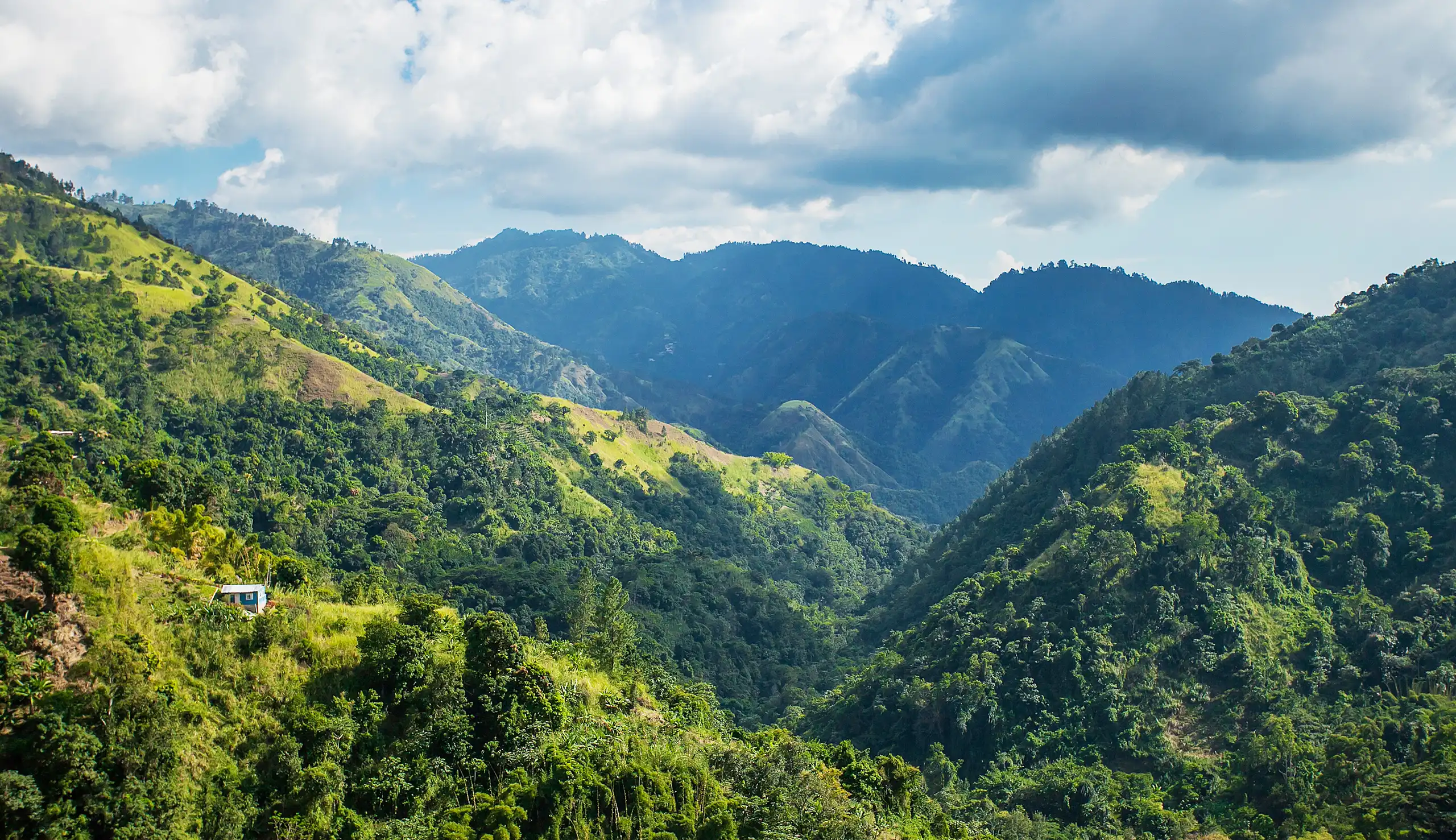 コーヒー産地を訪ねて