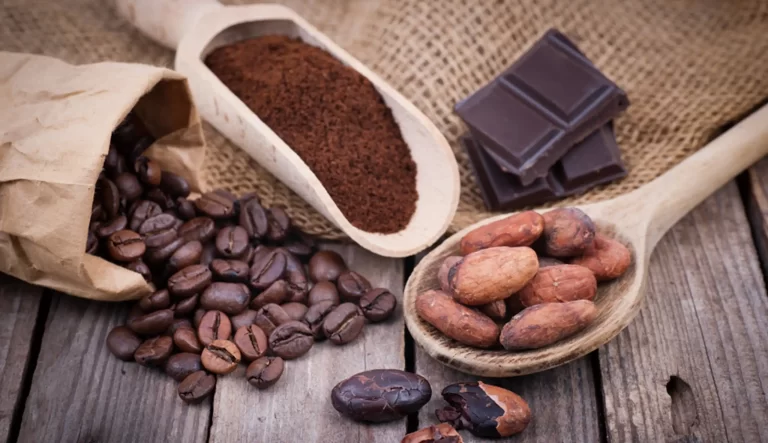 カカオとコーヒー　