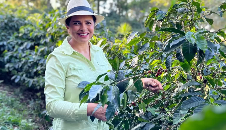 コーヒー産地を訪ねて ホンジュラス エルプエンテ農園