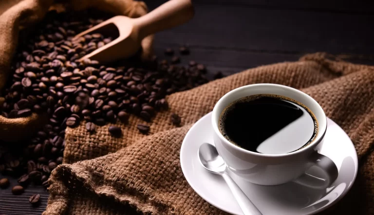 スペシャルティコーヒーをプロが解説