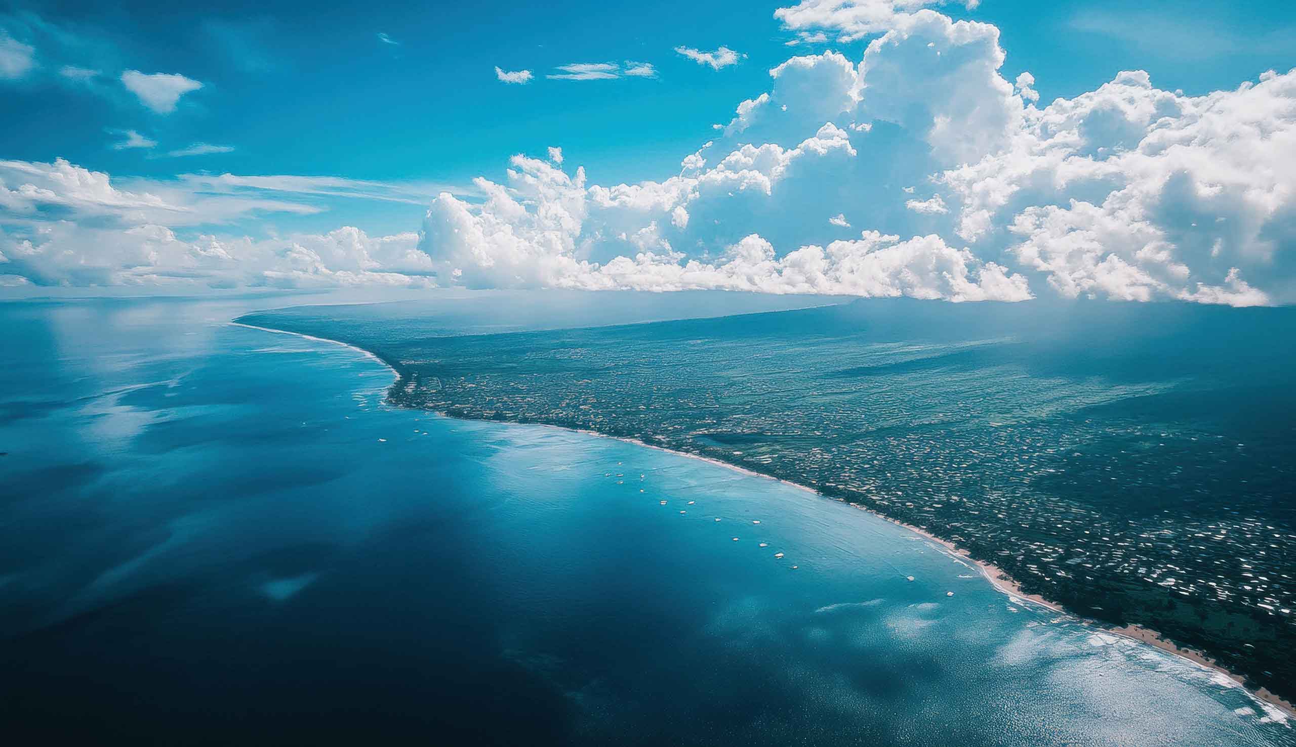 コーヒー産地を訪ねて  ハワイ コナ編