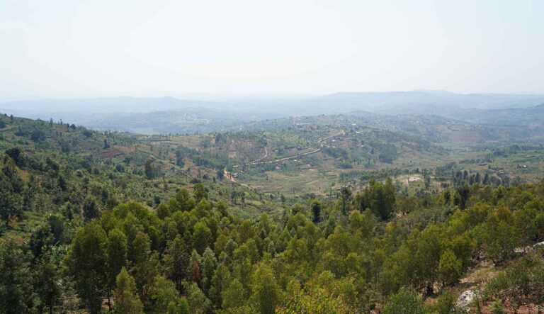 コーヒー産地を訪ねて  ルワンダ フイエマウンテン編