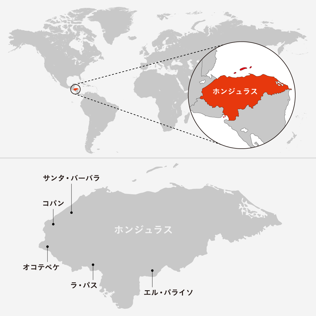 ホンジュラスの代表的なコーヒーの生産地域と味わいについて